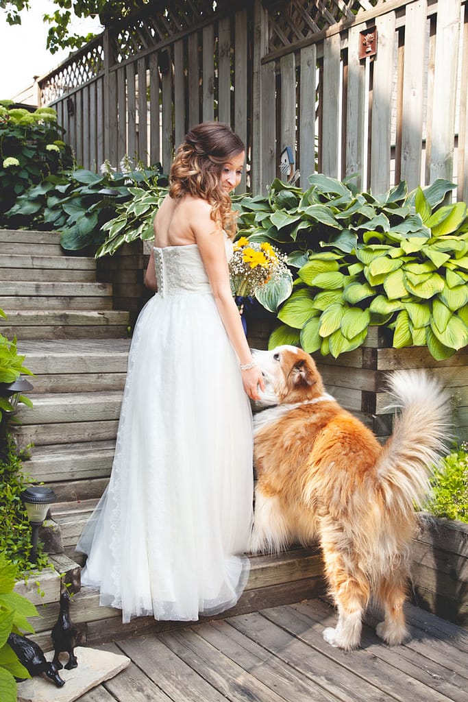 Toronto bride with dog